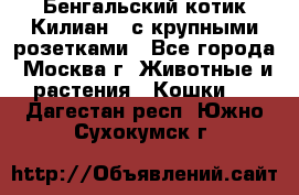 Бенгальский котик Килиан , с крупными розетками - Все города, Москва г. Животные и растения » Кошки   . Дагестан респ.,Южно-Сухокумск г.